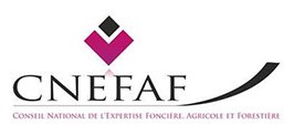 logo CNEFAF